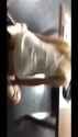ONlTaxB4_720p_thumb.jpg