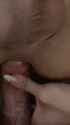 7019f325-47af-4f73-912f-84123d6a5b00_thumb.jpg