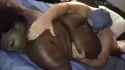 eatinghugeblackass_thumb.jpg