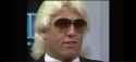 Ric-Flair-h7LISf7J52dyBszZ-long_4mb_thumb.jpg
