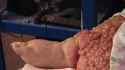American leg_thumb.jpg