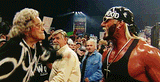 Hulk Hogan Fights Grandma Animated GIF
