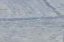 Fresh BOBR hits (M113) - bos5og (audio) (4MB)_thumb.jpg