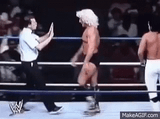 Wrestling is real, everything else is fake (Ric Flair Flop)