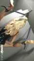 3b973ef2-6f29-4e3f-8f20-128b58223d0f_thumb.jpg