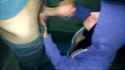 1721235455223048_thumb.jpg