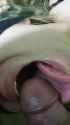 1622246422631_thumb.jpg