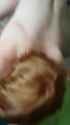 1753561434004029_thumb.jpg