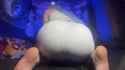 Hdf54ml6gCu9R-ST_thumb.jpg