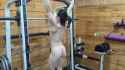 kay pullups_thumb.jpg
