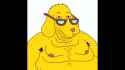 pepe pepe no janny die tranny_thumb.jpg