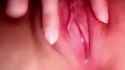 1_thumb.jpg