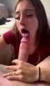 northforthewiinter_thumb.jpg