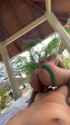 HotwifeLisset (1)_thumb.jpg