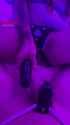 RDT_20250724_210159_thumb.jpg