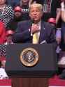 Donald can&#039;t breathe_thumb.jpg