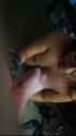 az-recorder-20250801-133035_thumb.jpg