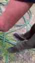 chile school bomb 1729756758_50e_140_thumb.jpg