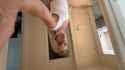 barrenstupidmouflon-[00.00.000-00.15.350]-audio_thumb.jpg