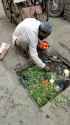 Organic vegetables Street_thumb.jpg