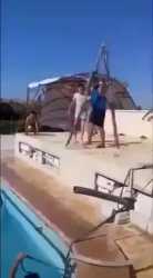 From ladder to the pool_thumb.jpg