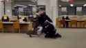 Three Cops, One Pibble_thumb.jpg