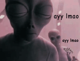 1000036100