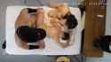 0hj7phn0x9cs9veomu808_source_20250722183822744_s01_thumb.jpg