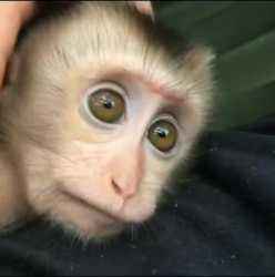 videoplayback (13)_2_thumb.jpg