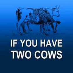 2cows_thumb.jpg