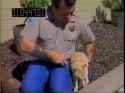 nwa_thumb.jpg