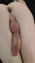 1738102465807831_thumb.jpg