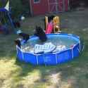 a berenstain pool party_thumb.jpg