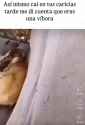 Snake friend_thumb.jpg