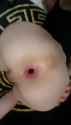DFC24A3_thumb.jpg