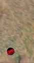 Elephant+Hunting+Jeets_thumb.jpg
