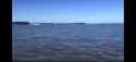 Speed+Boat_thumb.jpg