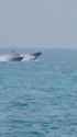 Spanish Coast Guard Runs Over Migrants_thumb.jpg