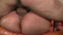 50132451a_thumb.jpg