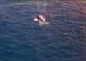 WWII Jap Torpedo Boat Lit Up_thumb.jpg