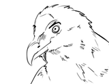 birb_beb