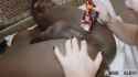 1737936768695623_thumb.jpg