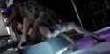 dfca61c9b1b32ca99f6c0a389452a088ncjdjsbbc_thumb.jpg