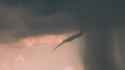 1648025973222_thumb.jpg