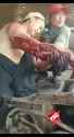1626078572538_thumb.jpg