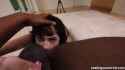 cat-spark_thumb.jpg