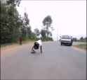 skater hits motorcycle_thumb.jpg