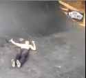 Thrasher (sound)_thumb.jpg