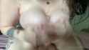 5ec6f665d0fb744cdd995-source-00-00-36-036-00-00-52-052_5_thumb.jpg