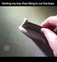 chinese cocaine lines_thumb.jpg